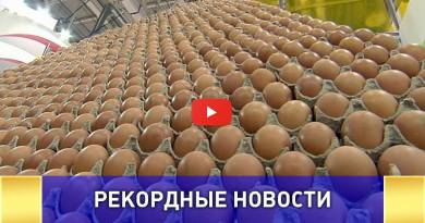 Пирамида из Ярославских яиц попала в книгу Гиннесса ВИДЕО: Пирамида из Ярославских яиц попала в книгу Гиннесса ВИДЕО: